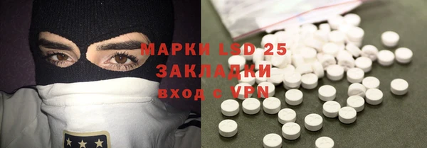 прущие грибы Корсаков