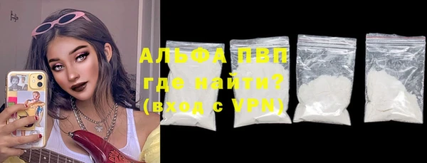 прущие грибы Корсаков