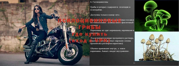 мяу мяу мука Краснослободск