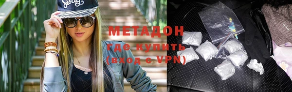 прущие грибы Корсаков