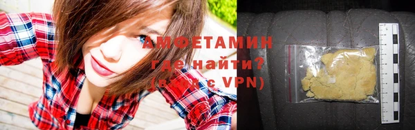 прущие грибы Корсаков